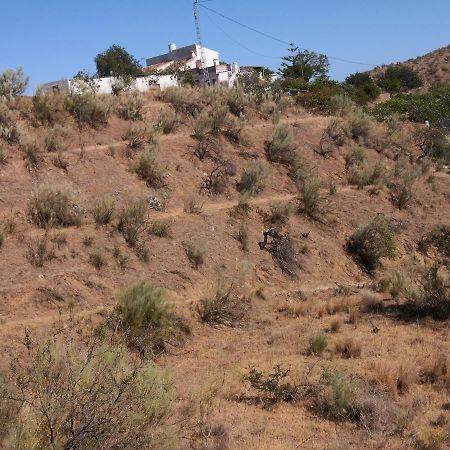 פיסארה Finca La Pimienta מראה חיצוני תמונה