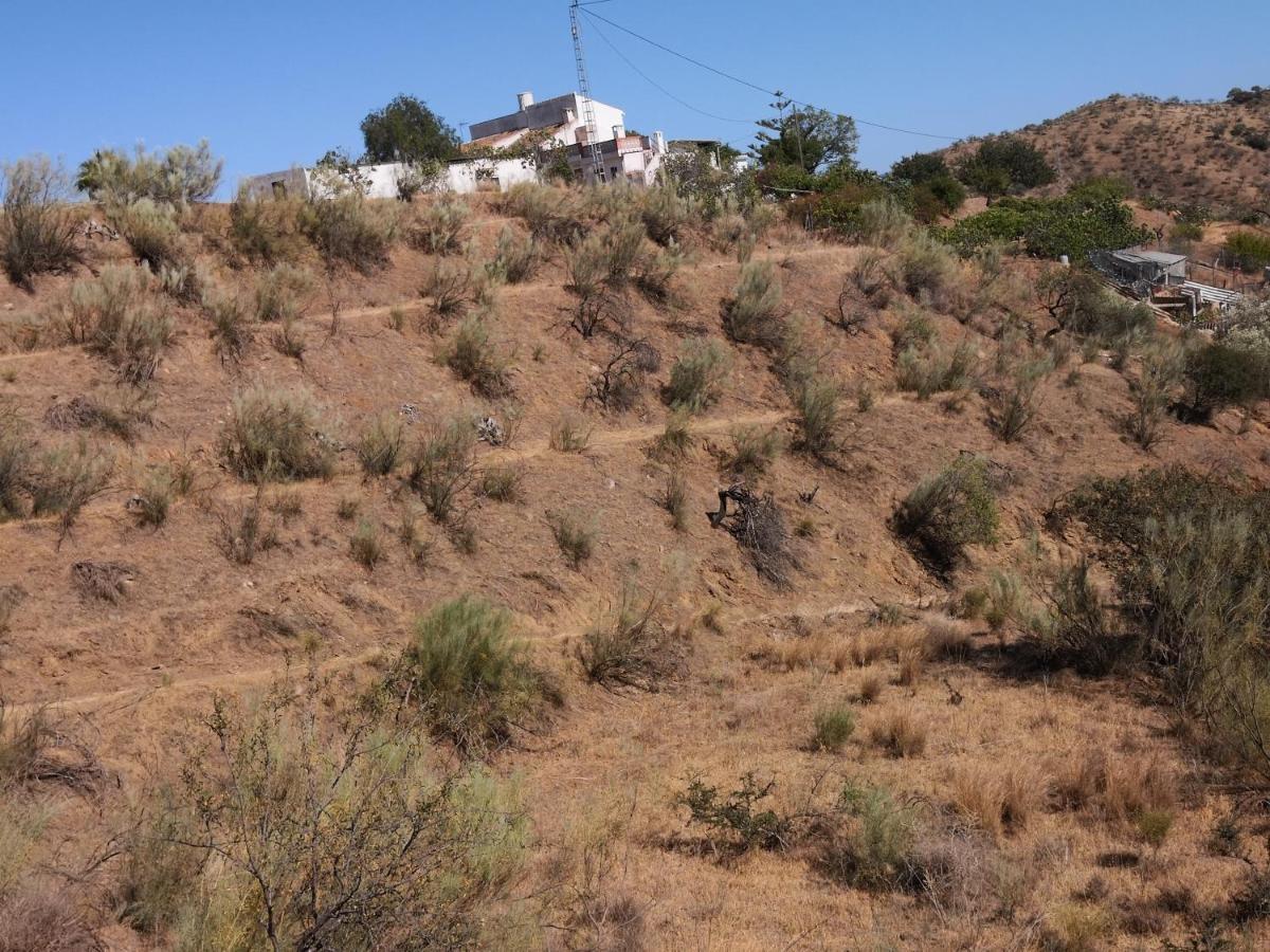 פיסארה Finca La Pimienta מראה חיצוני תמונה